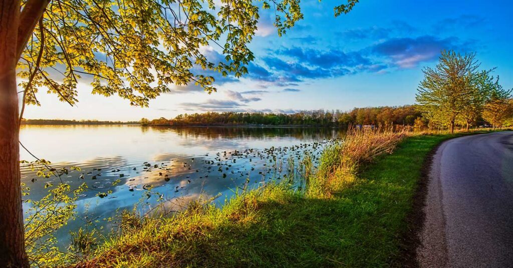 Serene lakeside scene with a tree-lined road, reflecting sunlight and a vibrant blue sky