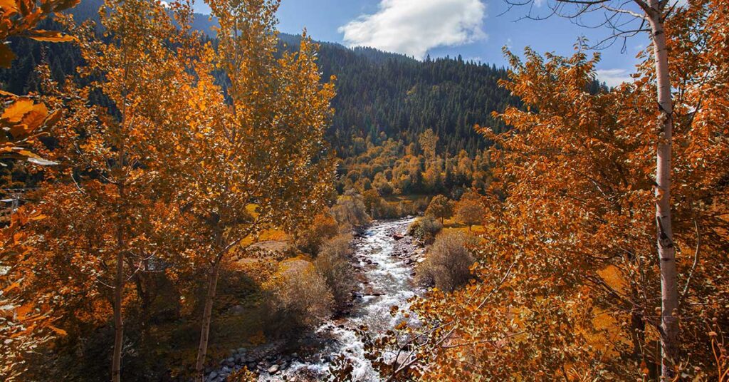 Autumn landscape with a flowing river surrounded by trees in vibrant orange foliage