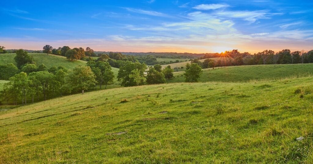 Scenic green meadow landscape with rolling hills and a golden sunset on the horizon