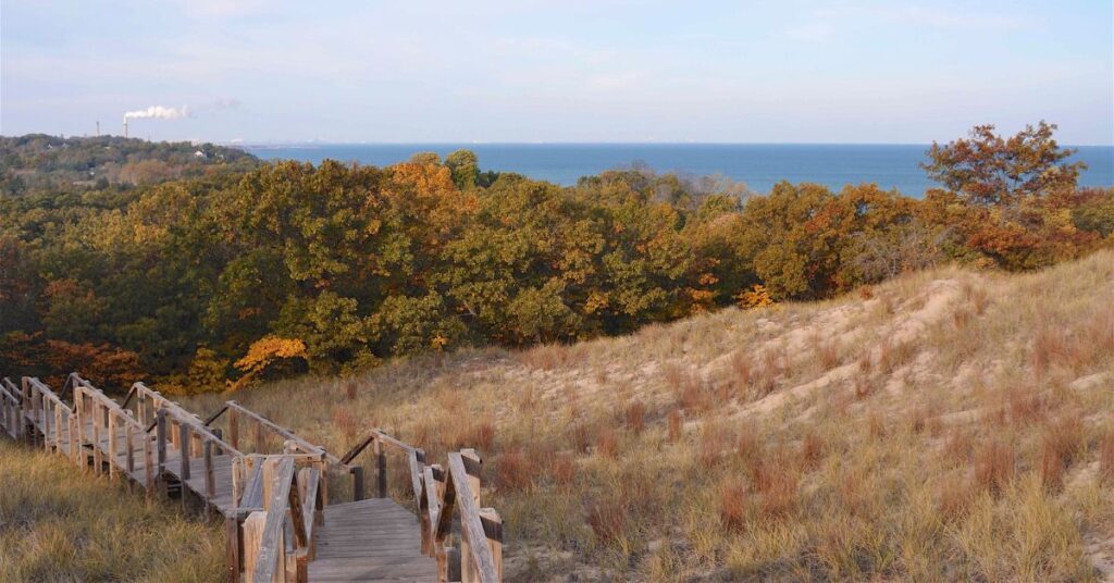 Sandy trail with wooden stairs leading through autumn-colored trees toward a distant lake