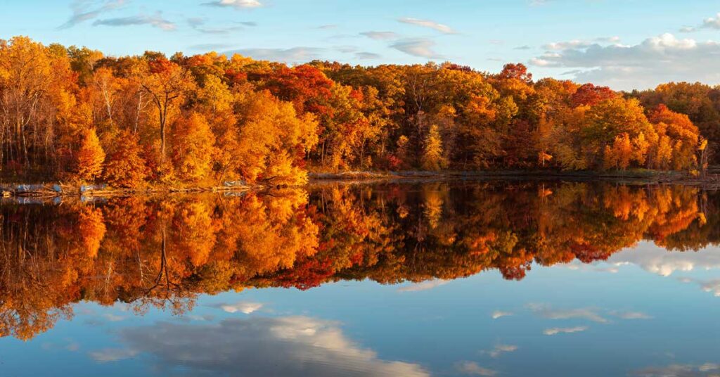 Vibrant orange and yellow fall foliage along a serene lake with clear reflections