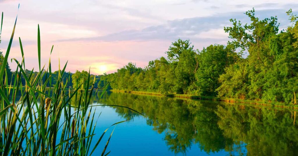 Tranquil lake with lush greenery and reeds under a colorful sky with the sun