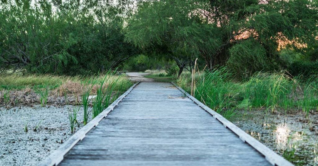 South Texas board walk to a pond