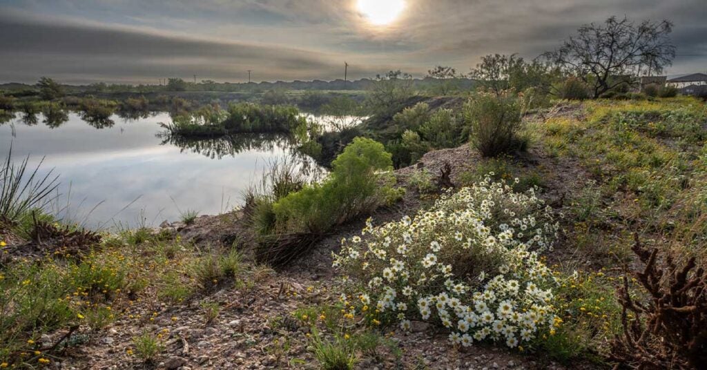 he morning sun illuminates the wildflowers and local pond, part of the Odessa Mountain Bike Park with bushes and houses in the background under hazy sky, Permian Basin, Odessa, Texas